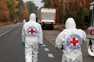 В Україну репатрійовано тіла 252 загиблих військовослужбовців