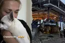 «Страшна ніч». Ольга Сумська показала, як пережила атаку Києва