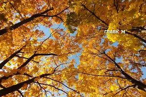 Вологість повітря у Києві становить 97%