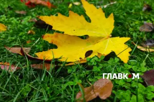 В Україні хмарно з проясненнями, у частині областей видимість буде обмеженою через туман