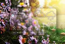 Погода в Україні на тиждень: 26 жовтня – 1 листопада 2026 року
