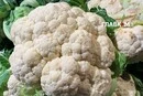 Продуктові ярмарки у Києві 27 жовтня – 1 листопада: за якими адресами можна зробити покупки