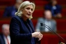 Ле Пен розпочала президентську кампанію у Франції