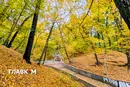 В Україні до 15° і дощі на заході: погода на 27 жовтня 2026 року