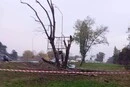 Росія пошкодила парк із відомою алеєю сакур у Києві (фото)