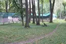 Суд зобов’язав родину Круп знести паркан, що захоплює понад 2 тис. кв. м землі