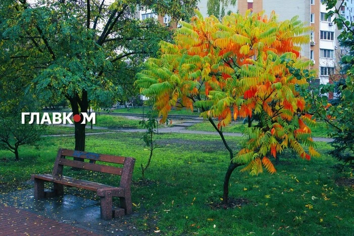 В Україні до 17°, у деяких областях значні дощі: погода на 29 жовтня 2026 року