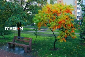В Україні хмарно з проясненнями, очікуються дощі