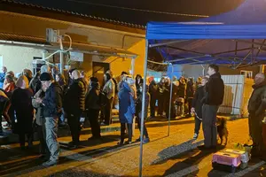 Містяни забирали котів і собак на перетримку