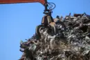 В Україні зараз немає ринкових підстав для скасування нульової квоти на експорт брухту – експерт