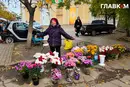 Херсон у дні перемир'я. Фоторепортаж з міста на лінії фронту