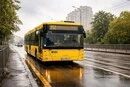 Низка столичних автобусів і один тролейбус 31 жовтня – 1 листопада курсуватимуть зі змінами: перелік