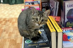 Цирцея розважає відвідувачів, які приходять до книгарні, та любить бешкетувати