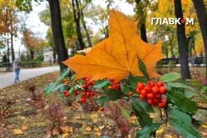 31 жовтня циклон охопить Україну – хмарно, дощі, температура вдень лише 7–12°