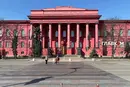 Нардепка повідомила, у якому форматі студенти Університету Шевченка складатимуть сесію
