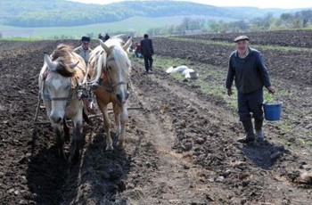 Хакеры «взломали» земельную реформу Януковича