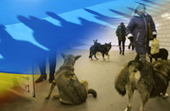 Украина борется с собаками