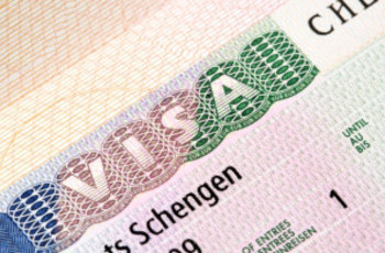 Бути скотом. Consular version