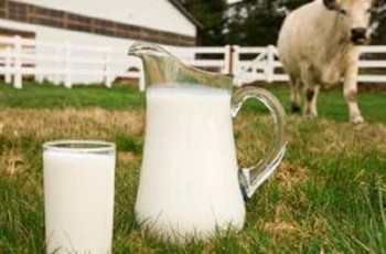 Молоко, сметана и сыр будут дешеветь