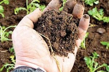 Фермерам придется скрывать свои доходы?