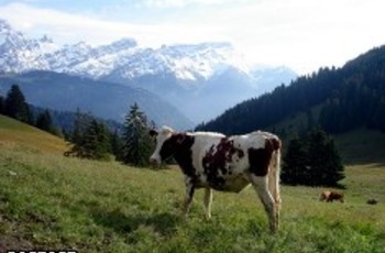 В Закавказье делят Россию