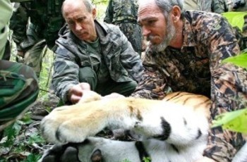 Путин и фальшивая тигрица