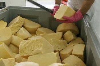 Украинских сыроделов заставят работать по советским ГОСТам