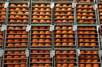 Независимая проверка: В украинских сырах нет растительного масла