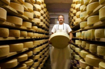 Россия стирает с «сырной кампании» политическую плесень