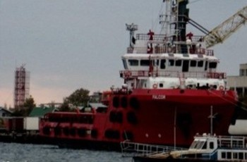 «Вишка Бойка» в тіні «Чайного будиночку Януковича»