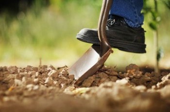 ЦИК не дал Ефремову поссориться с Фирташем