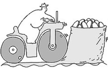 Депутаты пошли по направлениям