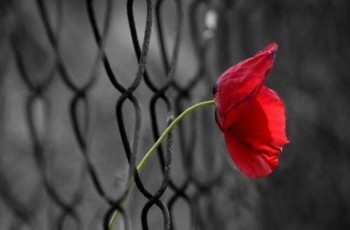 Программа действий: Как избежать катастрофы Украины?