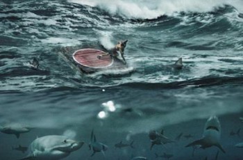 Ловушка Минфина: как забрать доллары себе, а валютные облигации отдать населению