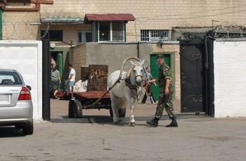 Луценко разрешат искупаться в Десне