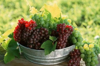 Без вина виноватые: почему украинцев вынуждают пить «шмурдяки» по космическим ценам