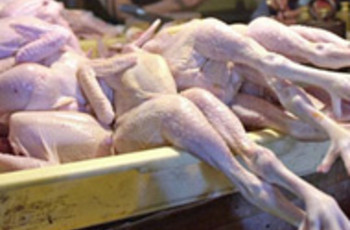 Кто проголосует за «тушек»?