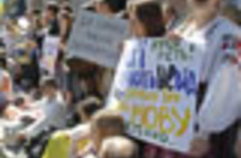 Языковые спекуляции