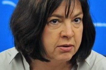 Евродепутат сомневается в демократичности выборов на Украине