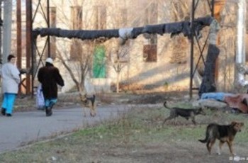 ООН: Украина - мировой лидер по темпам сокращения городского населения