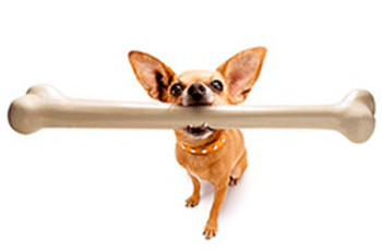 Янукович бросает кость олигархам