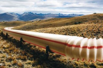 Украинский реверс: как Януковичу сберечь «олигархическую» вольницу