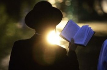 Россия, США, Нидерланды и Украина – одного поля ягодки