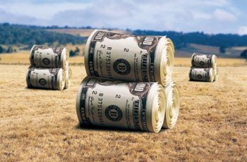 Урожайний час для кредитора: чи стануть аграрні розписки ефективним фінансовим інструментом