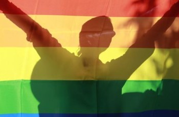 Украинские геи и лесбиянки призвали ЕС повлиять на Киев