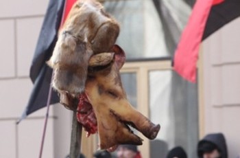 Курс на Межигір’я?