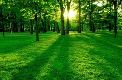 Мисс Вселенная 2013: Конкурс национальных костюмов