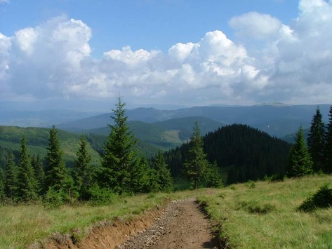 Кабмин решил ликвидировать авиаконцерн «Антонов»