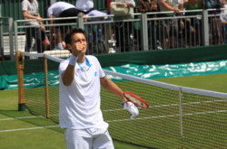 Уимблдон. Стаховский обыгрывает Гулбиса