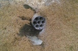 Тренировочная база «Шахтера» обстреляна террористами